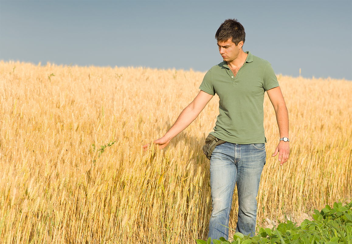 Est-ce plus avantageux de déléguer une partie des travaux ?