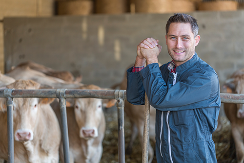 Assurer l’investissement de robots de traite avec les données d’Aptimiz