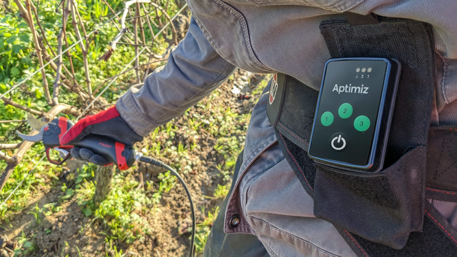 Aptimiz et INFACO s’associent pour simplifier la gestion des chantiers de taille.