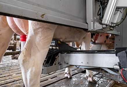 La place de la robotique dans l’agriculture